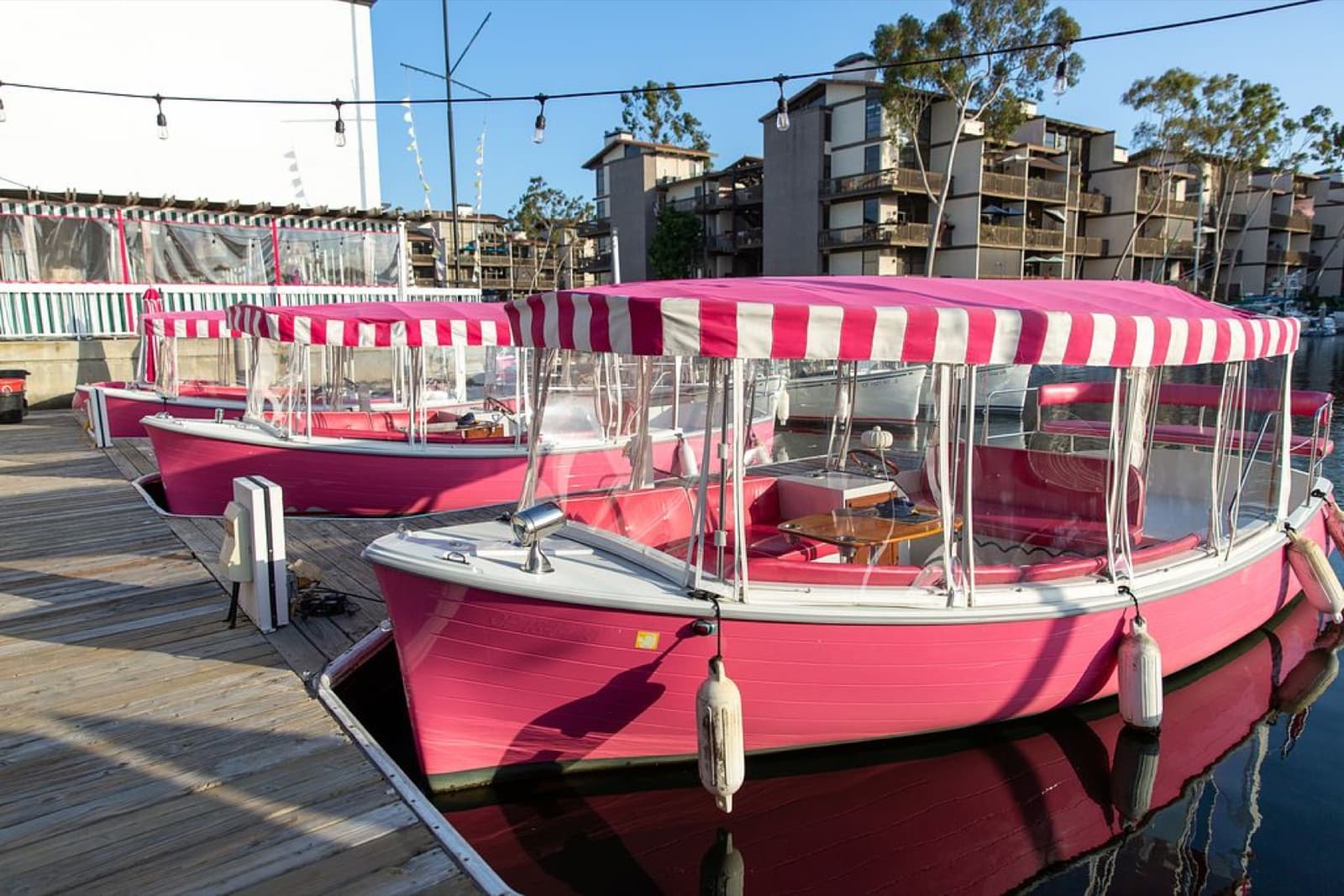 Pink Duffy boats docked at golden hour on Alamitos Bay, where the story began